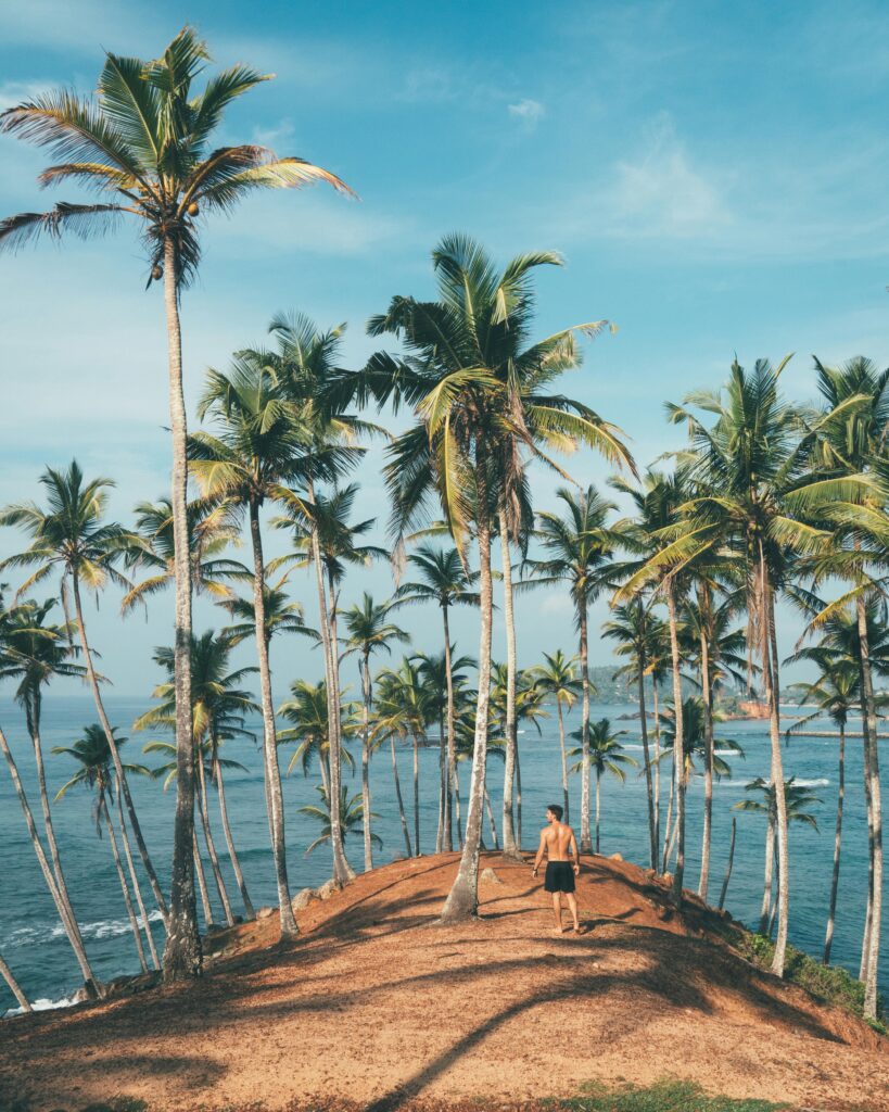 Man standing on a cliff with palm trees surrounding him in Costa Mesa, California.