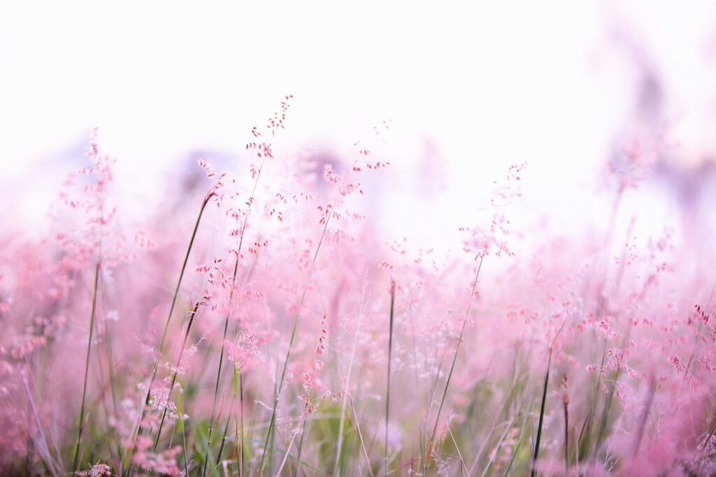 Peaceful pink coastal landscape symbolizing healing and hope during drug rehab at Breakaway Health in Costa Mesa, California